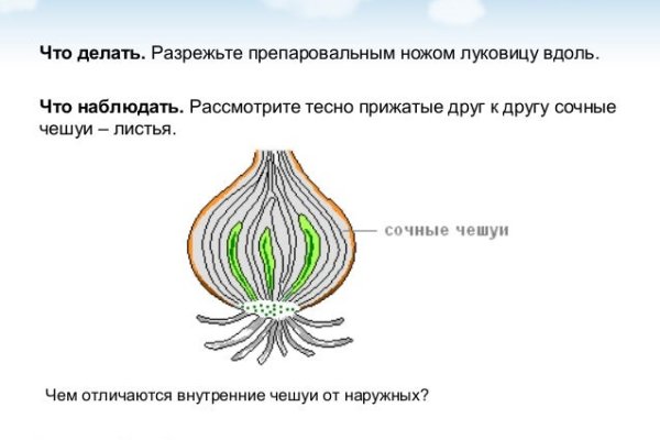Ссылка на кракен тор