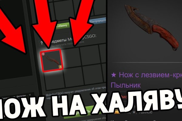 Kraken 17 at net
