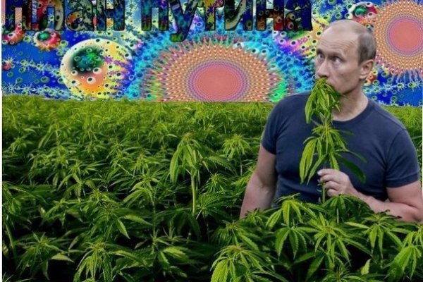 Логин и пароль от кракен