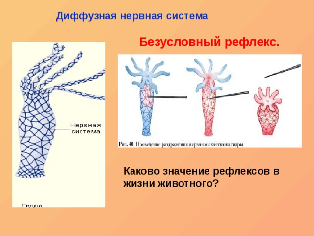 Запрещенный сайт кракен