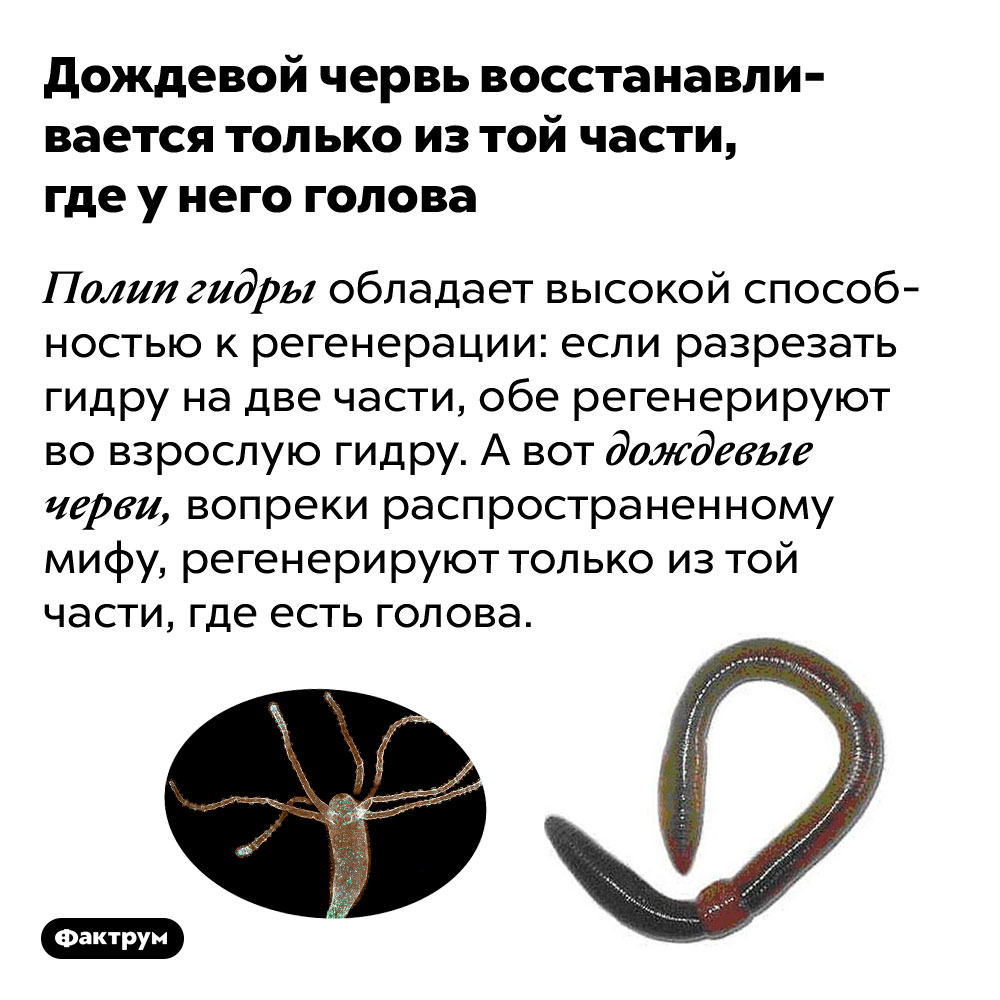 2 krn